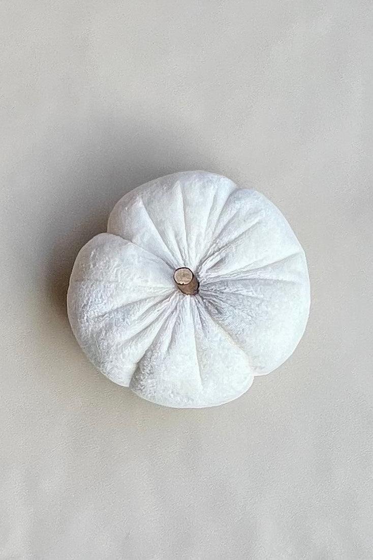 Citrouille "Cocon Automnal"