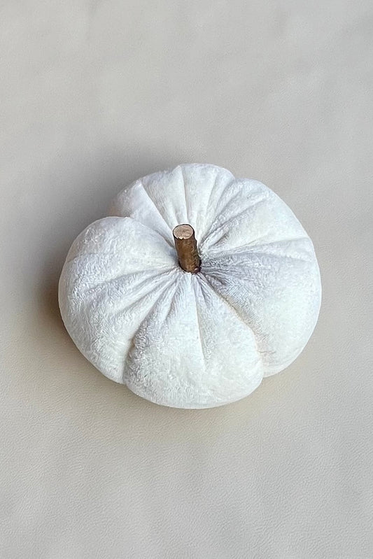 Citrouille "Cocon Automnal"