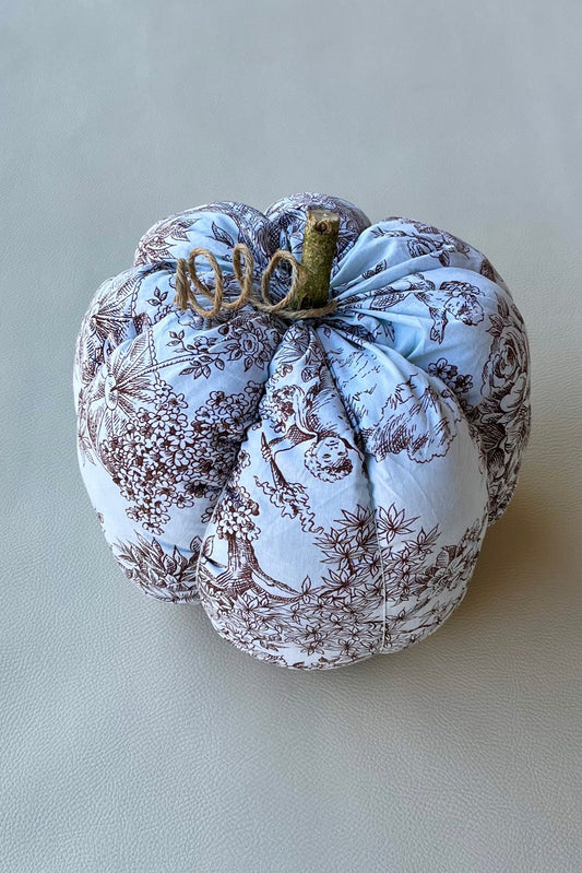 Citrouille "Romance d'Automne"
