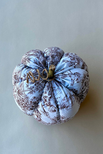 Citrouille "Romance d'Automne"